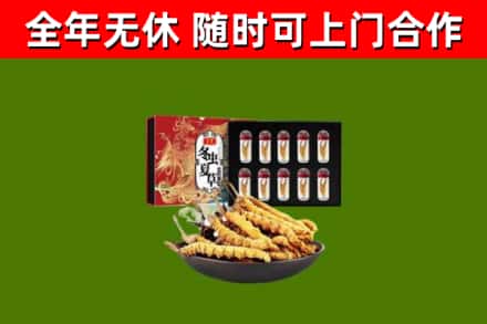 石龙回收冬虫夏草价格